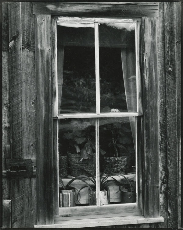 Paul Strand, Window, Red River, 1931