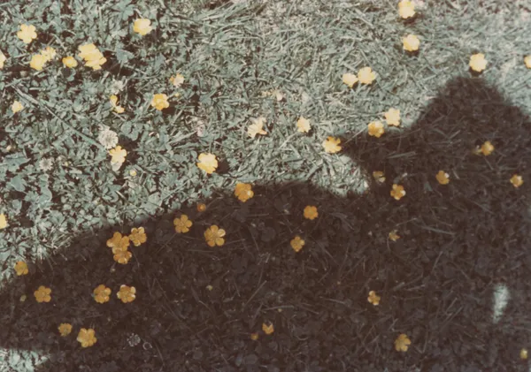 Vivian Maier, Untitled, c.1960-76