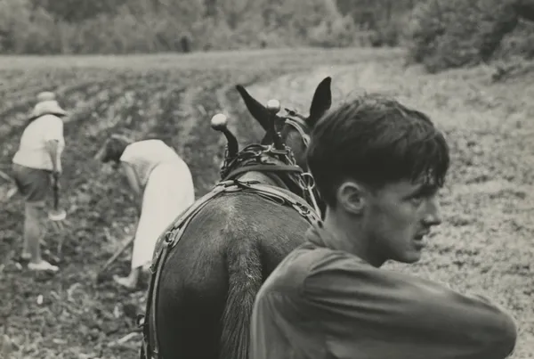 John Cohen, Family Farming, Perry County, KY, 1959