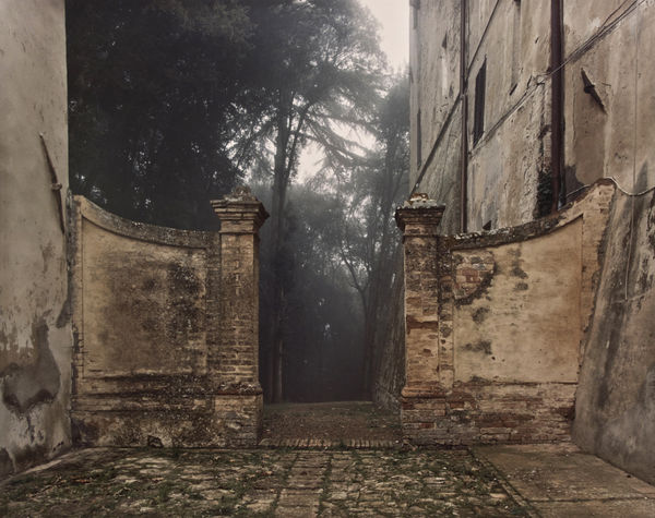 Joel Meyerowitz, Castle, Woods in Mist, Tuscany, 2002