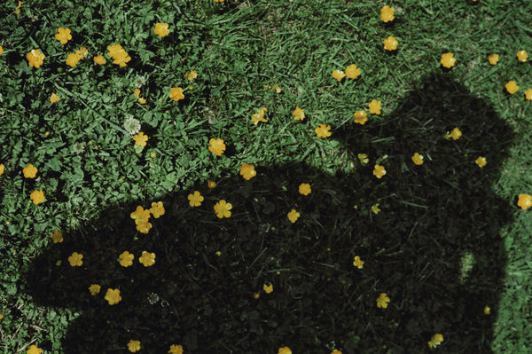 Akris x Vivian Maier