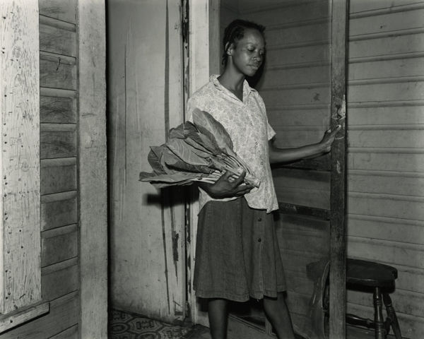 Baldwin Lee, Quitman, Georgia, 1984