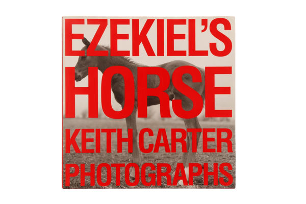 Ezekiel's Horse