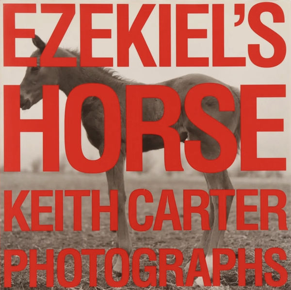 Ezekiel's Horse