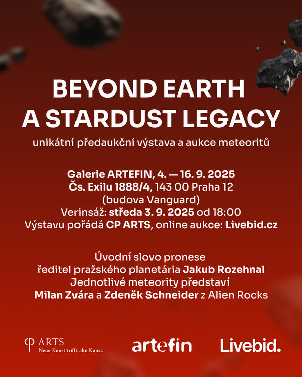 Beyond Earth - A Stardust Legacy Auction of Rare Meteorites