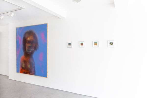 Polaroids Sir Sidney Nolan