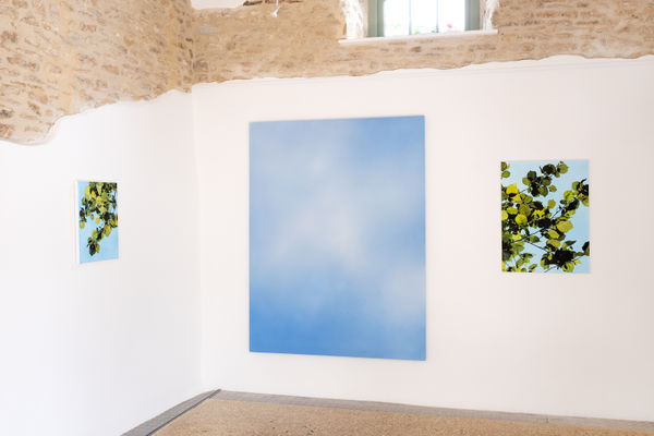 Hope is The Thing With Colours Rebecca Partridge