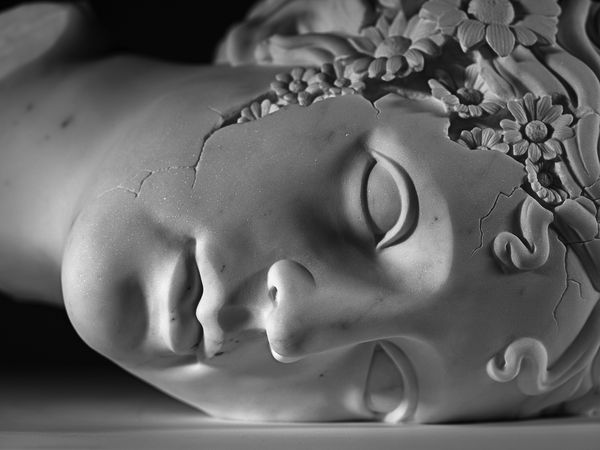 Laura Veschi, My Flowered Venus