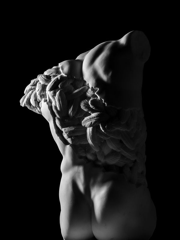 Laura Veschi, Anima leggera