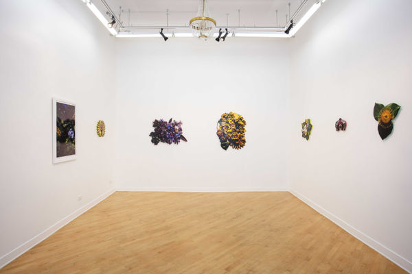 Nada Install Preview