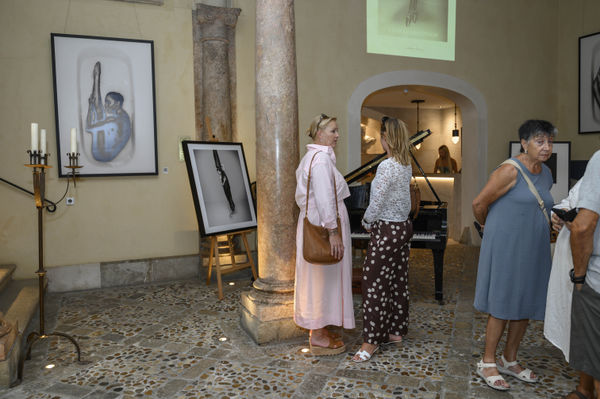 Leonardo Condor Dsc 3467No Print