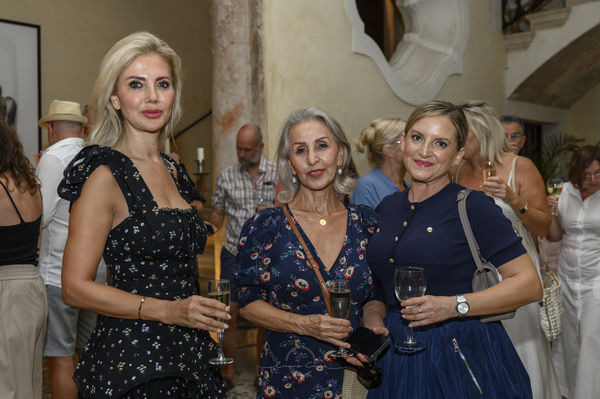 Leonardo Condor Dsc 3510No Print