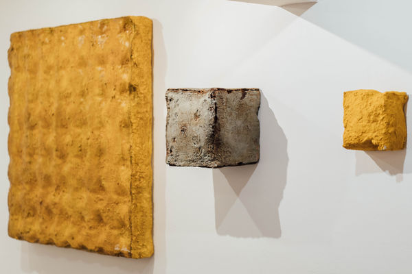 20240921 Ana Adriana Photography 29