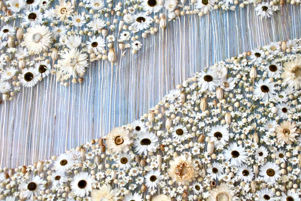 Olga Prinku - Embrace, 2025