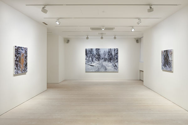 Photo: Angel Gil / Galerie Forsblom