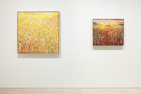 Eemil Karila They Become Trees