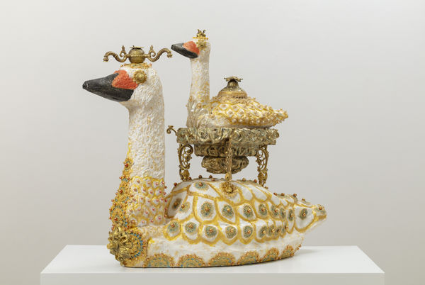 Tapani Kokko Butterfly