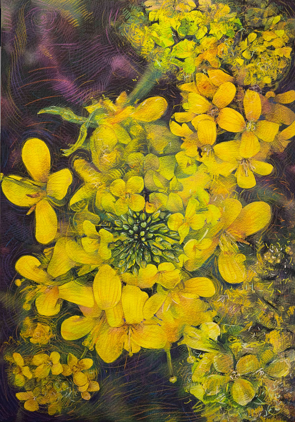 DUFTENDE BEDRAG - SHWAN DLER QARADAKI Mesén X GalleryLab