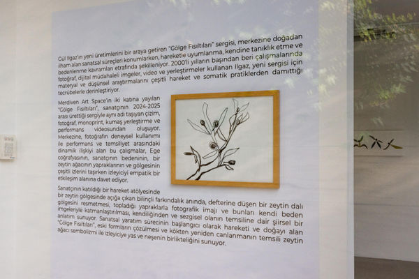 "Gölge Fısıltıları | Whispering Shadow: Gül Ilgaz", Küratör | Curator: İpek Ulusoy Akgül. Merdiven Art Space, 2025. Fotoğraf | Photographer: Esra Kent.