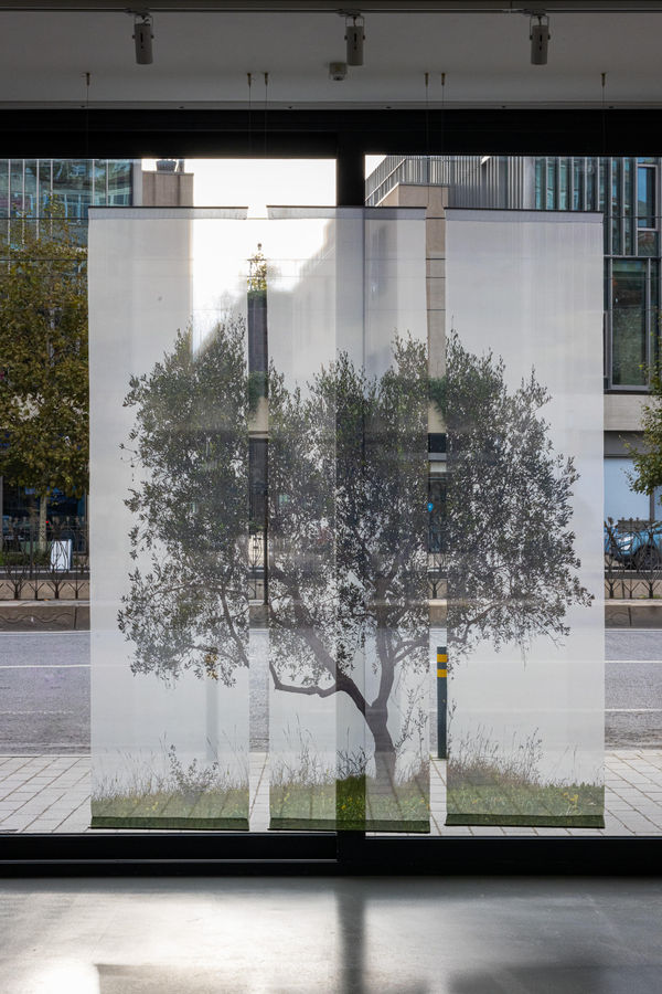 Gül Ilgaz, Gölge Fısıltıları | Whispering Shadow #4. Kumaş üzerine fotoğraf baskı | Photographic print on fabric, 2025, Monoprint. Merdiven Art Space, 2025. Fotoğraf | Photographer: Esra Kent.