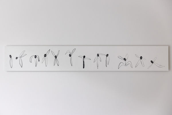 Gül Ilgaz, Gölge Fısıltıları | Whispering Shadow #2 Hareket Notaları (Çizim) | Movement Notation (Drawing), 2025. Fotoğraf | Photographer: Esra Kent.