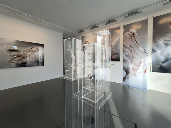 Ani Çelik Arevyan, In A Dream, 2026