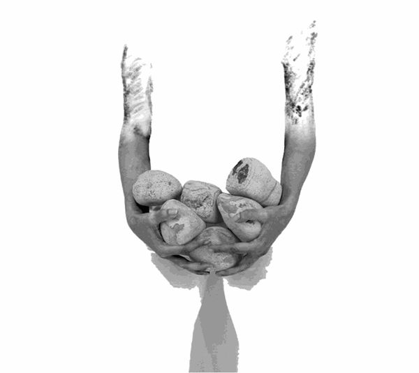 Şefkat Nişanı Gülçin Aksoy, Curator: Nergis Abıyeva