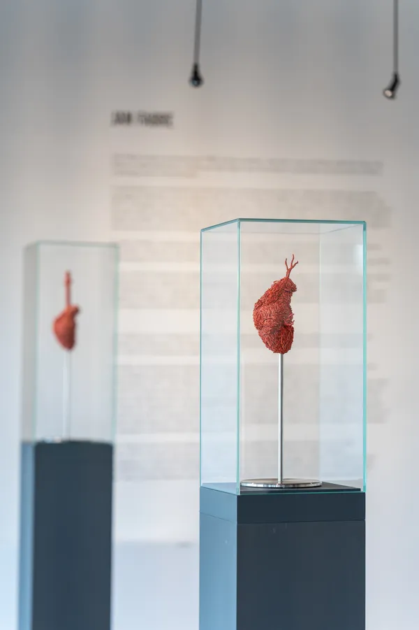 Allegory of Caritas (An Act of Love) - Installation View