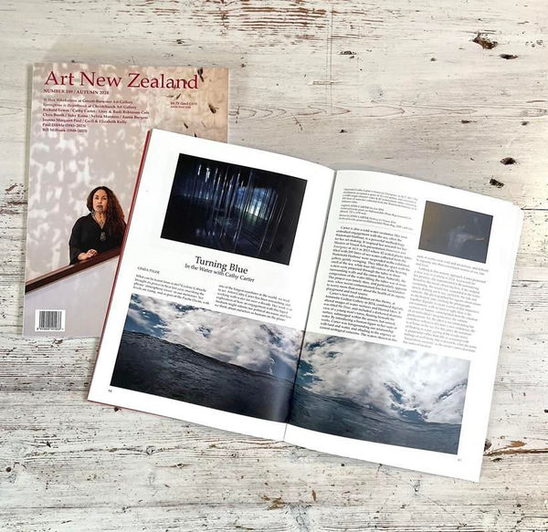 Cathy Carter - Review in Art New Zealand