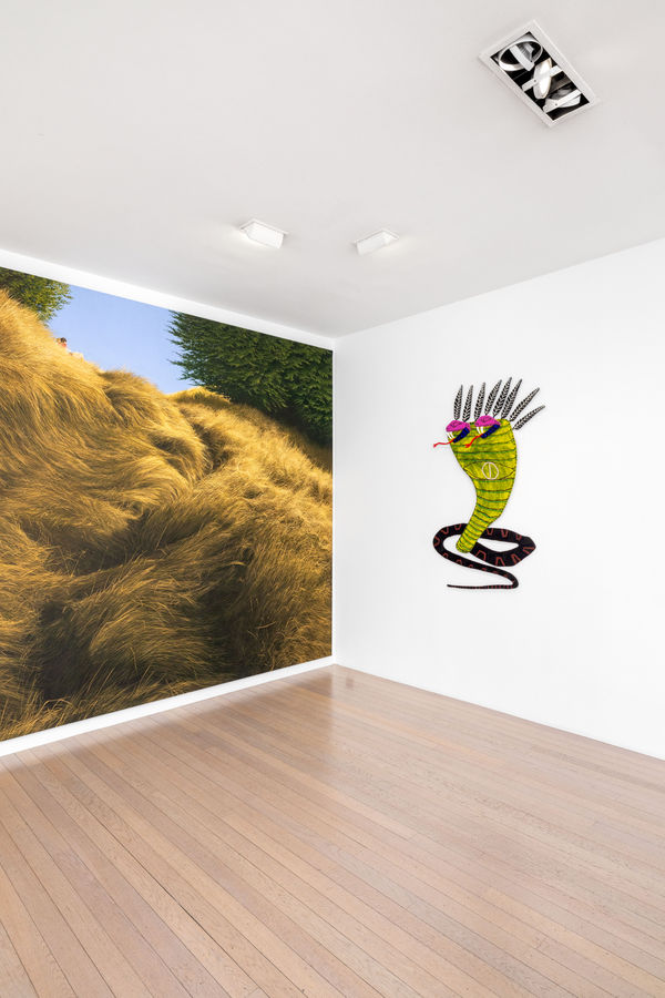 Strouk Gallery 2Mat Accrochage Fev24 06 Hd