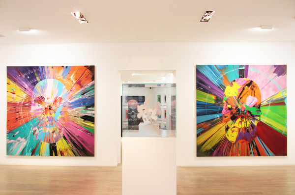 2012 Hirst Vs Pasqua Accrochage Par Martin Delpozo 50