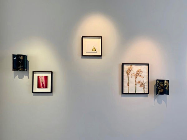 E9Ea7Ce2 2E95 44De Ac37 Ed92863C6F94