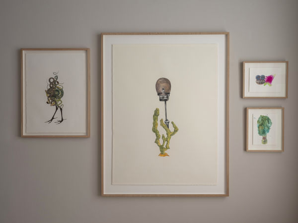 08 Maria Von Thurn Und Taxis