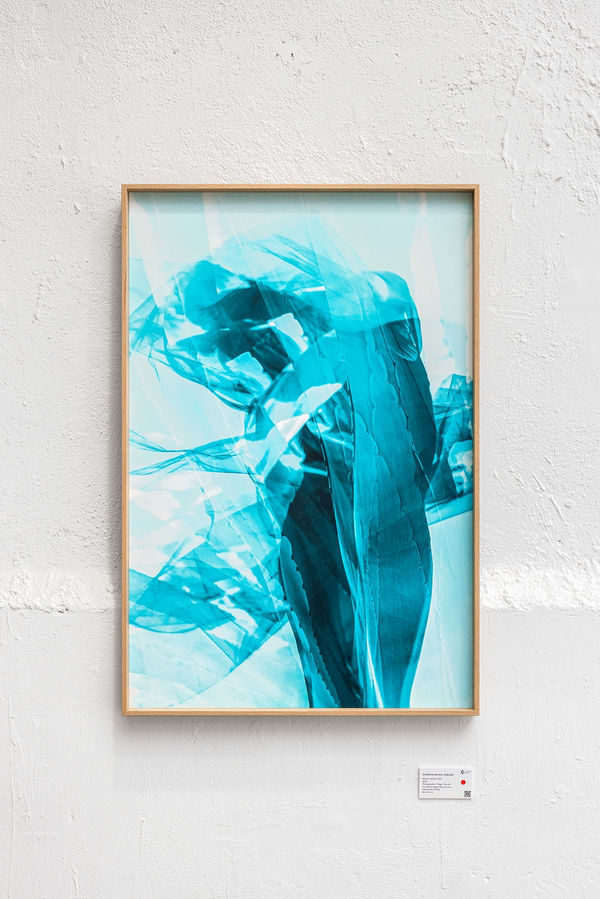 Groupe Clemence Vazard 16 C Romain Darnaud