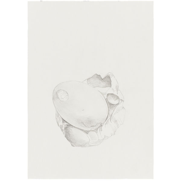 Margalef, 2024 Graphite on paper 29,7 x 21 cm