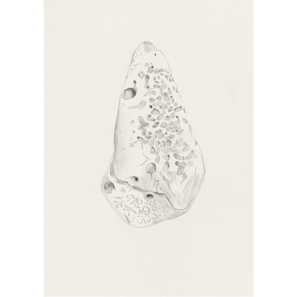 Leonidio 19.9.25, 2025 Graphite on paper 29,7 x 21 cm