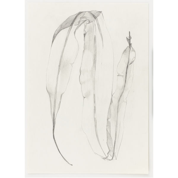 o.T., 2024 Graphite on paper 29,7 x 21 cm