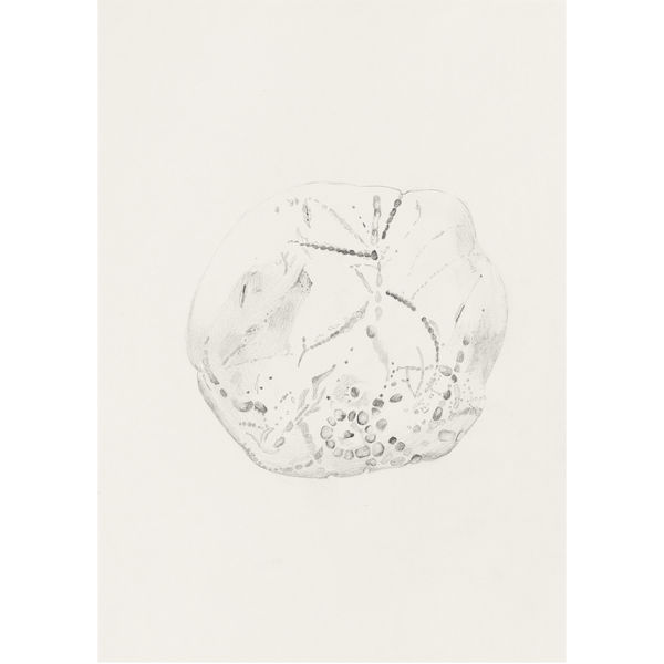 Poulithra, 17.9.25, 2025 Graphite on paper 29,7 x 21 cm