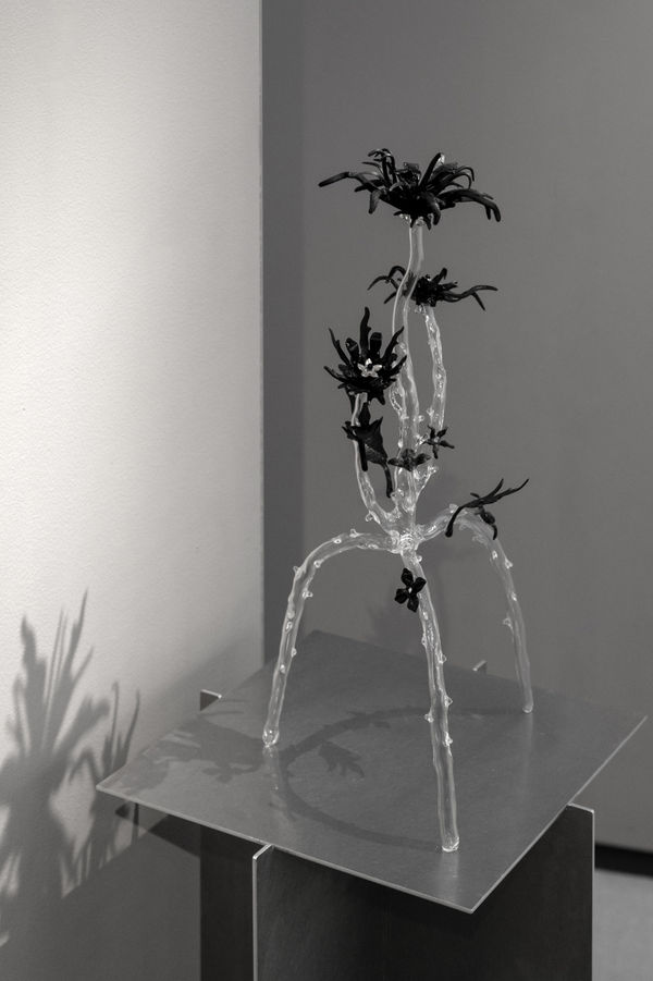 Clara Schweers, Affin Sp.003, 2025