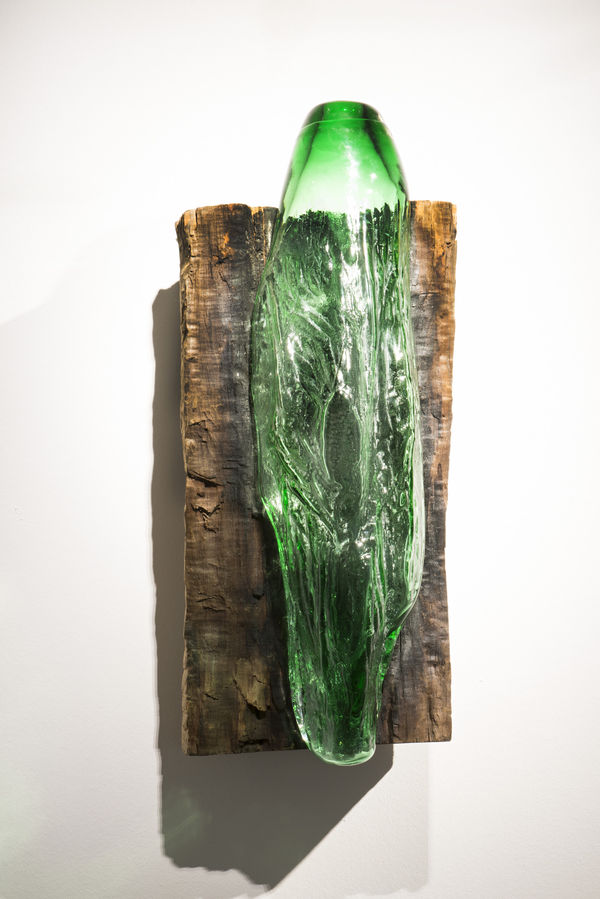 Susanne Roewer — Alternative Universen