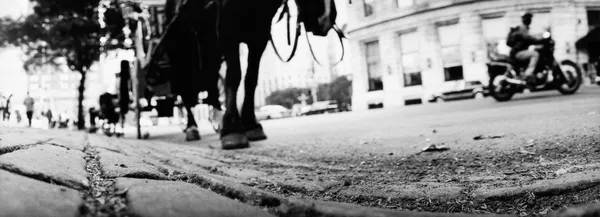 Cologne Fine Art 2015