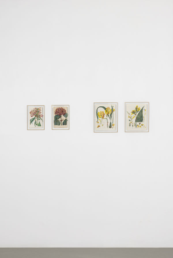 Sophie Kitching 2025 Denature Installation View Alice Folker Gallery 02