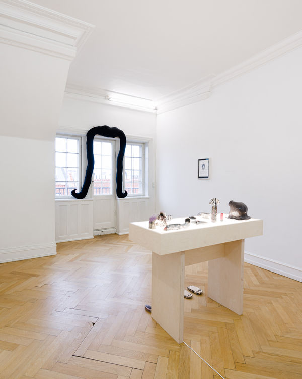 Anna Stahn 2021 Stars In The Hair Installation View Alice Folker Gallery 21