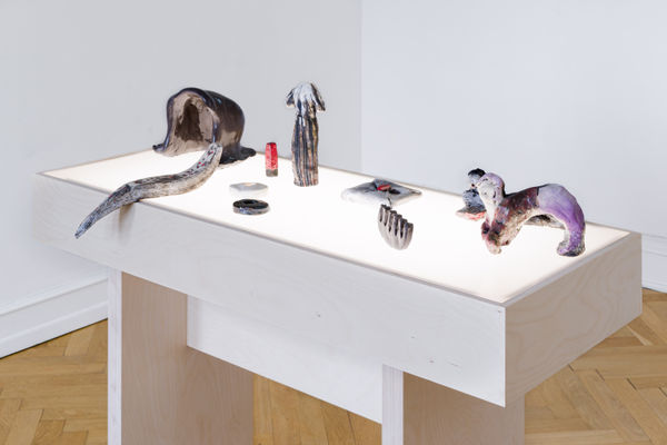 Anna Stahn 2021 Stars In The Hair Installation View Alice Folker Gallery 23