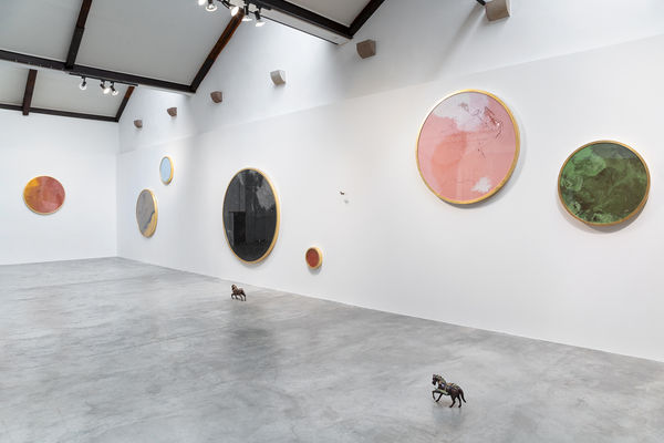 E talmente anima, che non è anima