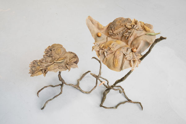 Cornelia Isaksson & Hans-Henning Korb, Urblomma, 2019