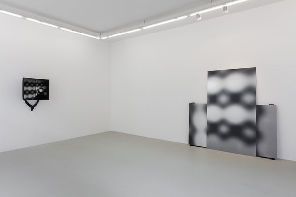 Moshe Ninio, Morgen cycle, 2010-2015