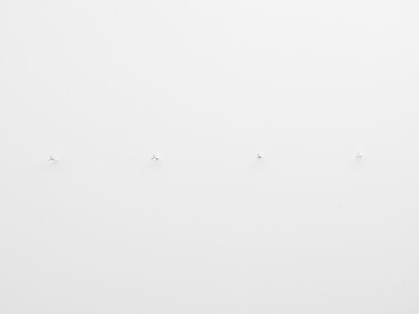 Kfgb 2021 Krm Partials Foto Roman Ma Rz 2