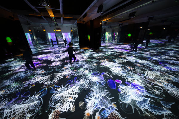 Digitalabysses Credit Thomas Granovsky 4