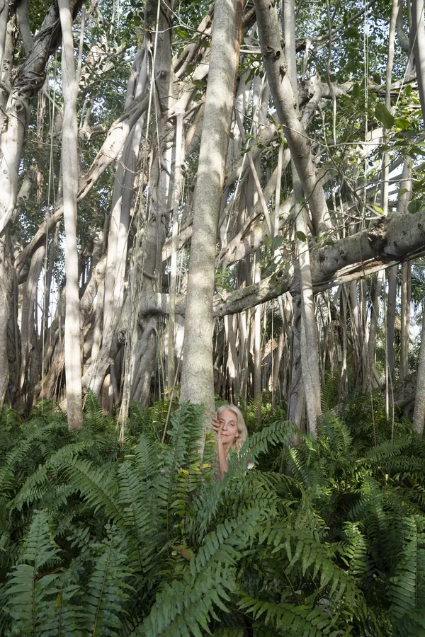 Laurie Dolphin Reflections: Monoprints LongHouse Reserve, East Hampton, NY